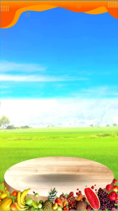 6-3-3 เจ ซี 25 กก ปูนีมูลค้างคาว ราคา 1 กระสอบ