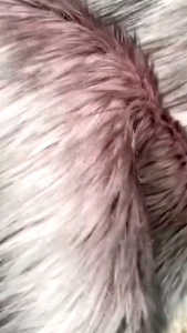 Tatakan Dashboard Semua Jenis Mobil