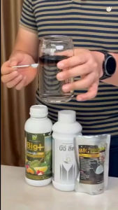 BG ชุด 5 พลัส จบทุกปัญหาสวนยาง หน้ายางตายนึ่ง น้ำยางไม่ไหล เชื้อรา เปลือกแข็ง ใบเล็ก ฟื้นฟูสวนยางด้วย 5 ตัวเด็ด ครบสูตร