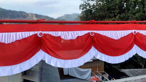 Bendera Background Merah Putih Panjang Gelombang