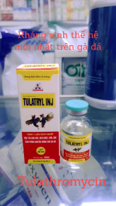 TULATRYL INJ (20ml) - Đặc tr.i khò khè hen khẹc CRD ORT sổ mũi sưng phù đầu. Sản phẩm chuyên dùng cho gà đá (Tulathromycin tiêm hoặc nhỏ miệng)