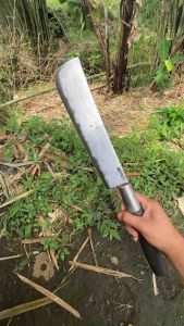 Golok Tebas Kayu tebas manggar aren tebas bambu dll