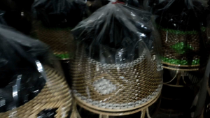 SANGKAR BURUNG MAHKOTA MERAK RAJUT SINTETIS MATARAM KANDANG BURUNG PERKUTUT TERBAIK KUALITAS CIANJUR NO1 DI INDONESIA