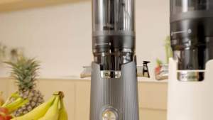 [NEW] TOYOMI FullPress XL Slow Juicer SJ 9120