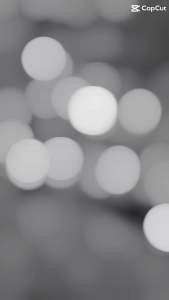 9 in1 All Natural Coffee Purple Corn Mangosteen Guyabano Spirulina Barley AshitabaMalunggayAmpalayaChia seeds(120g)