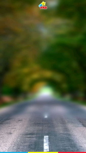 Mainan Anak Mobil Aki PMB Nuwa NW211 NW 211 NW-211