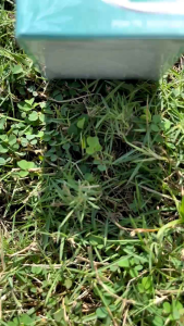 NETRACARE 100%ORIGINAL OBAT MATA MINUS KATARAK GLAUKOMA RABUN SILINDER REKOMENDASI PARA DOKTER