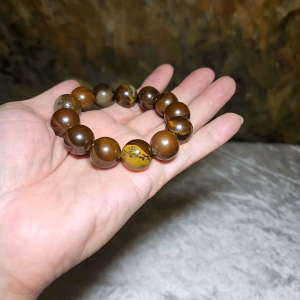 Gegegems Collection 16mm Premium Petrified Wood with various inclusions bracelet 精品大尺寸木化石多种包含物手链