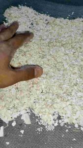 Baja kulit tulang sotong | Cattlefish bone fertilizer | sumber kalsium untuk tanah dan tumbuhan