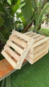 พาเลทไม้เล็กขนาดกว้าง50cmยาว50cmสูง11cm/1พาเลท=200บาท