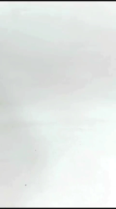 Mainan Anak Gajah Elektrik Bisa Berlari Ada Musik