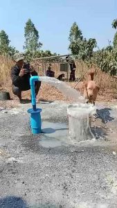 รุ่นใหม่ ใหญ่บาง 750W ปั๊มน้ำบาดาลซอฟต์แวร์ Lebento DC 600W - ระบบควบคุมสูงสุด ระยะยาว ความงามและความสวยงาม