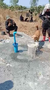 รวมปั๊มน้ำบาดาลโซล่าเซลล์ DC 300w 600w 750w 1100w 1500w 2200w 3000w ซับเมอร์ส New Lebento มอเตอร์บัสเลส ปั๊มโซล่าเซลล์ โจได ปั๊มบาดาลโซล่าเซลล์ 1แรง 2แรง 3แรง 4แรง