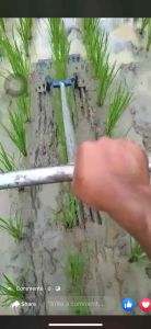 OSROK PADI UKURAN 141618202224 SOROK PADI GARUK PADI ALAT PEMATUN SAWAH ALAT PEMBASMI RUMPUT LIAR