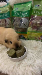 MR HAY TruFibre Alfafa Timothy Mint Molar Cube for rabbit chinchillas guinea pig 提摩西苜蓿草磨牙草块草砖