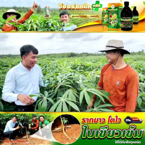 บีออแกนิคพลัส ฮอร์โมนพืช สารจับใบ สารบำรุงพืช B-Organic Plus ขนาด 100 cc