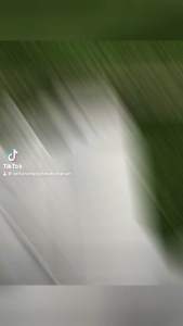 3 cánh quạt đại dài 45cm