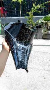 Cover Tanki Skywave Karbon Forget