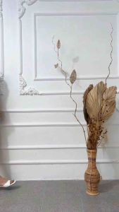 DASTER MANOHARA POLOS VIRAL