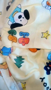 ผ้าเปล ผ้าเปลเด็กการตูนอ่อน ผ้าเปลมีมุ้งบนล่างขายแต่ผ้าเปล