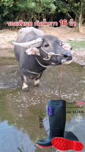 รองเท้าบูท กันน้ำ เนื้อฟู สูง 16 นิ้ว เเคนนู รุ่น B07/B06 มีแผ่นรอง พร้อมส่งทันที ผลิตในประเทศไทย