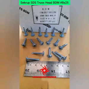 (50 pcs) Sekrup Roofing Truss Head SDS 8x25 mm / Skrup Truss Head 2.5CM