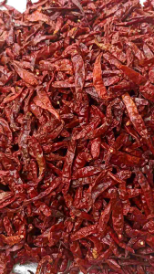 Cabe Merah Rawit Teja Kering 1 KG Packing Import Dijamin Pedas Tanpa Tangkai
