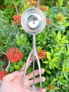 Muỗng múc kem đầu tròn inox 304 loại 1 tiện lợi - gia dụng THIÊN VŨ