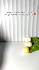 IMFLAMDESIRE  ParfumeFOR MAN isi 2 fcs EDP 30MIL AWET WANGI TAHAN LAMA