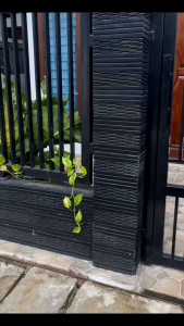 TAS PRIA KANVAS PREMIUM FORENZI