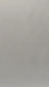 SEPATU VANS OLD SKOOL BERKUALITAS/SEPATU MURAH  PREMIUM TERMURAH