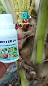 BELI 3 GRATIS 1 BOTOL PUPUK BOOSTER 76 (100ML .250ML.) penyubur pelebat buah pembesar pelebat buah