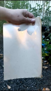 กระดาษห่อฝรั่ง กระดาษบรู๊ฟ ขนาด 8x12 นิ้ว  1กก. มี 300+ เเผ่น 10กก. มี 3000+ เเผ่น เหนียว กันเเดด กันฝน  ทนทุกสภาพอากาศ