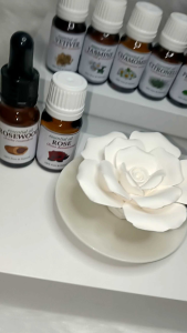 Rose Ceramic Plate Essential Oil Diffuser Aromatherapy Gift Set