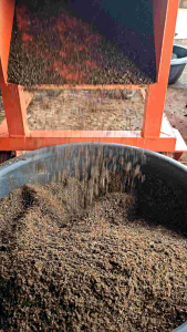 ใบก้ามปูบดละเอียด #ใบก้ามปู #ใบก้ามปูล้วน #ใบก้ามปูบดละเอียด #ดินผสมใบก้ามปู