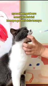 ALAT PELONTAR OBAT HEWAN《PICTURE#4》