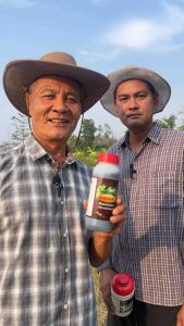 [โปรดินเน่า3แถมฮิวมิค1] "ดินเน่า" กู้ชีพดินเสื่อม มาพร้อมของแถมฮิวมิค-อะมิโน ครบเครื่องทั้งดินและใบ