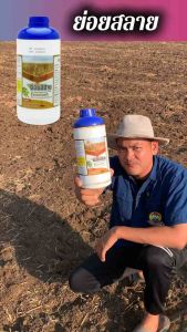 [ซื้อ2แถม1] ย่อยสลาย จุลินทรีย์ธรรมชาติ ช่วยย่อยสลาย ตอซังข้าว ซากอ้อย ตอซังข้าวโพด เศษไม้ใบหญ้า ให้กลายมาเป็นปุ๋ยให้กับดิน