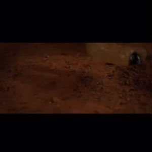 ของเล่นไดโนเสาร์ควบคุมระยะไกลพร้อมดวงตาเรืองแสง LED เต้นรำ เขย่าหัวของขวัญหุ่นยนต์ไดโนเสาร์สำหรับเด็ก สห545508