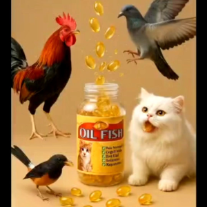 MINYAK IKAN TUNA OIL FISH ISI 100 BUTIR untuk kucing burung ayam anjing hamster penambah napsu makan pengkilap bulu pakan kucing bolt vitamin pakan sangkar suplement Ebod oriq perkutut murai batu Kacer nagata juara milet Voer nektar bolt super n perkutut