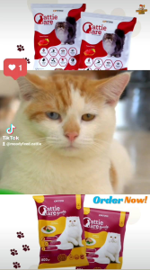 Cattie Care Dry Cat Food Tuna Beauty Makanan Kucing Kering Dewasa Premium Kemasan Freshpack 1 Kg