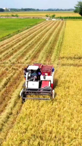 Corpcure Ampuh 100% Libas Hama & Bakteri Tanaman 100ml Mengandung ZPT Tumbuh Organik Pupuk Cair Untuk Pertumbuhan & Produktivitas Tanaman Hijau Seimbang