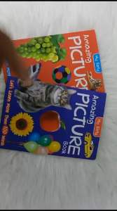 🔥🔥[READY STOCK] My Early Picture Book for Kids ( Educational Books ) Kamus Bergambar