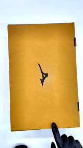 Ulasan Mendalam Tentang Sepatu Voli Mizuno Terbaru