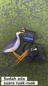 KOMPLIT perankap jerat racik ruak ruak kareo padi wakwak + speaker box mastera