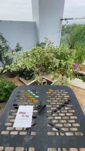 [Giá Rẻ] Combo 100 Cái Tắc Kê Đất - Mỏ Neo Đất Màu Đen Neo Chằng Đất Cố Định Dây Chống Đỗ Ngã