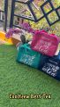 Coolteen you’re my best tea tupperware (zipper bunga es). 