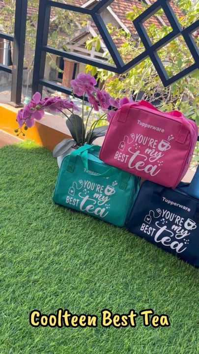 Coolteen you’re my best tea tupperware (zipper bunga es)