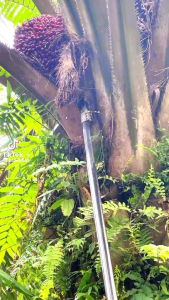 [100%ORI] SBL G222 PRO/ Sabit Sabit SBL G222 PRO/ Egrek Sawit/ Harvesting Sickle SBL