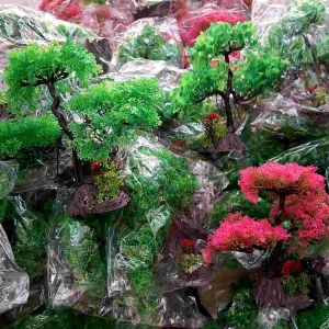 Hiasan aquarium Bonsai dekorasi aquascape bonsai